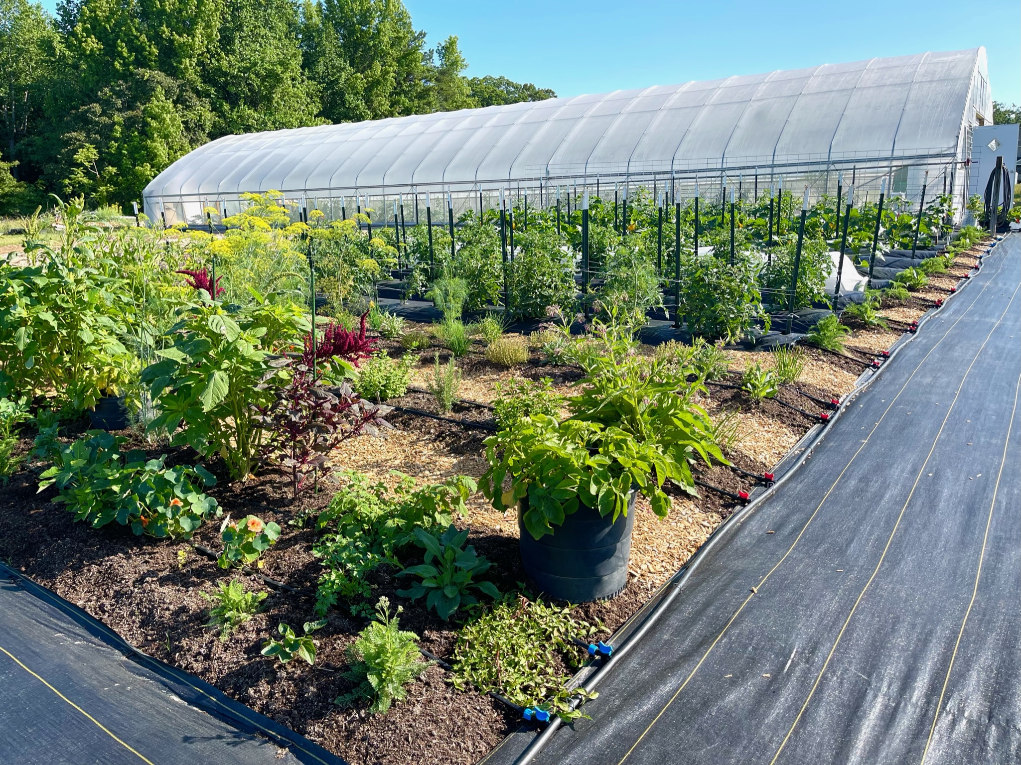 Food Sovereignty & Compost Program | The Upper Mattaponi Tribe